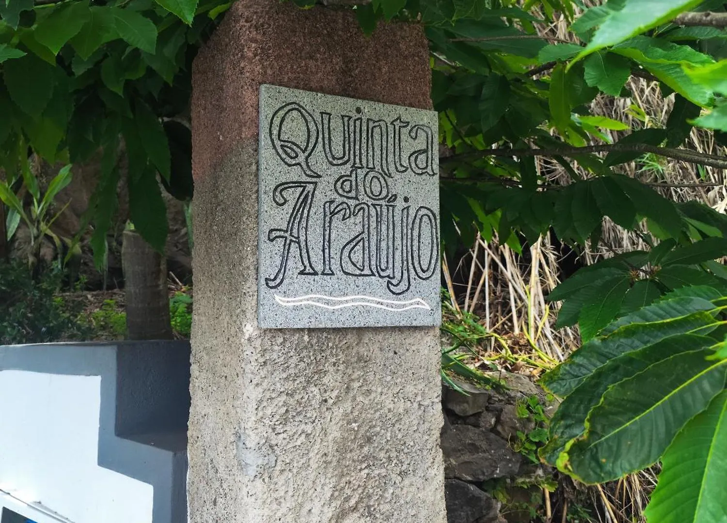 Quinta Do Araujo - Guesthouses カマラ・デ・ロボス ポルトガル